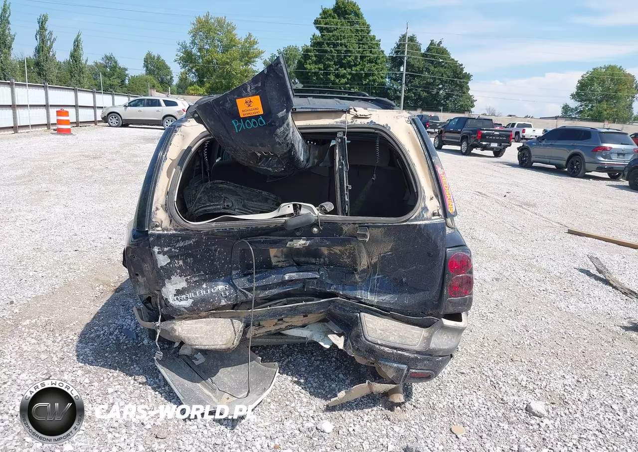 2008 Chevrolet Trailblazer Fleet VIN:1GNDS13S282128777 - 17