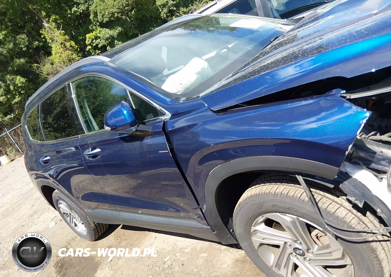 2023 Hyundai Santa Fe Sel VIN:5NMS2DAJ3PH553690 - 13