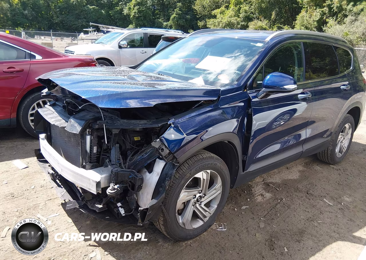 2023 Hyundai Santa Fe Sel VIN:5NMS2DAJ3PH553690 - 2
