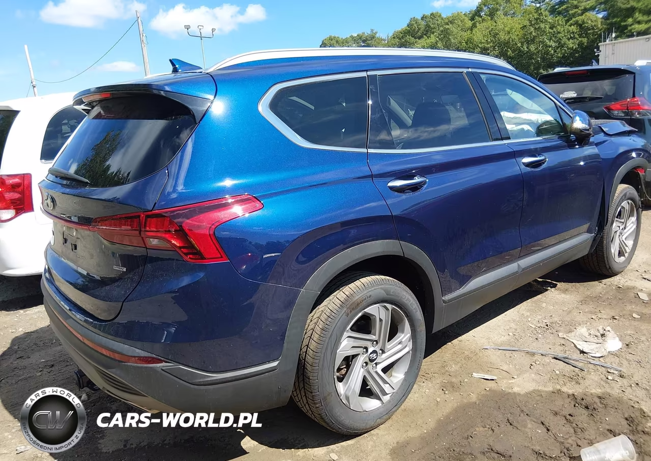 2023 Hyundai Santa Fe Sel VIN:5NMS2DAJ3PH553690 - 4