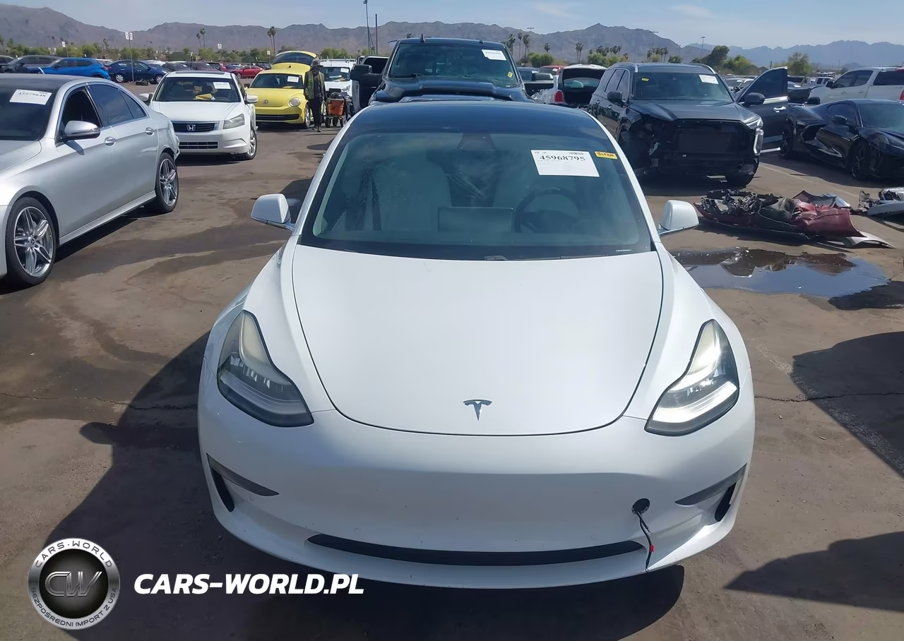 2019 Tesla Model 3 Long Range-Performance VIN:5YJ3E1EBXKF494757 - 12