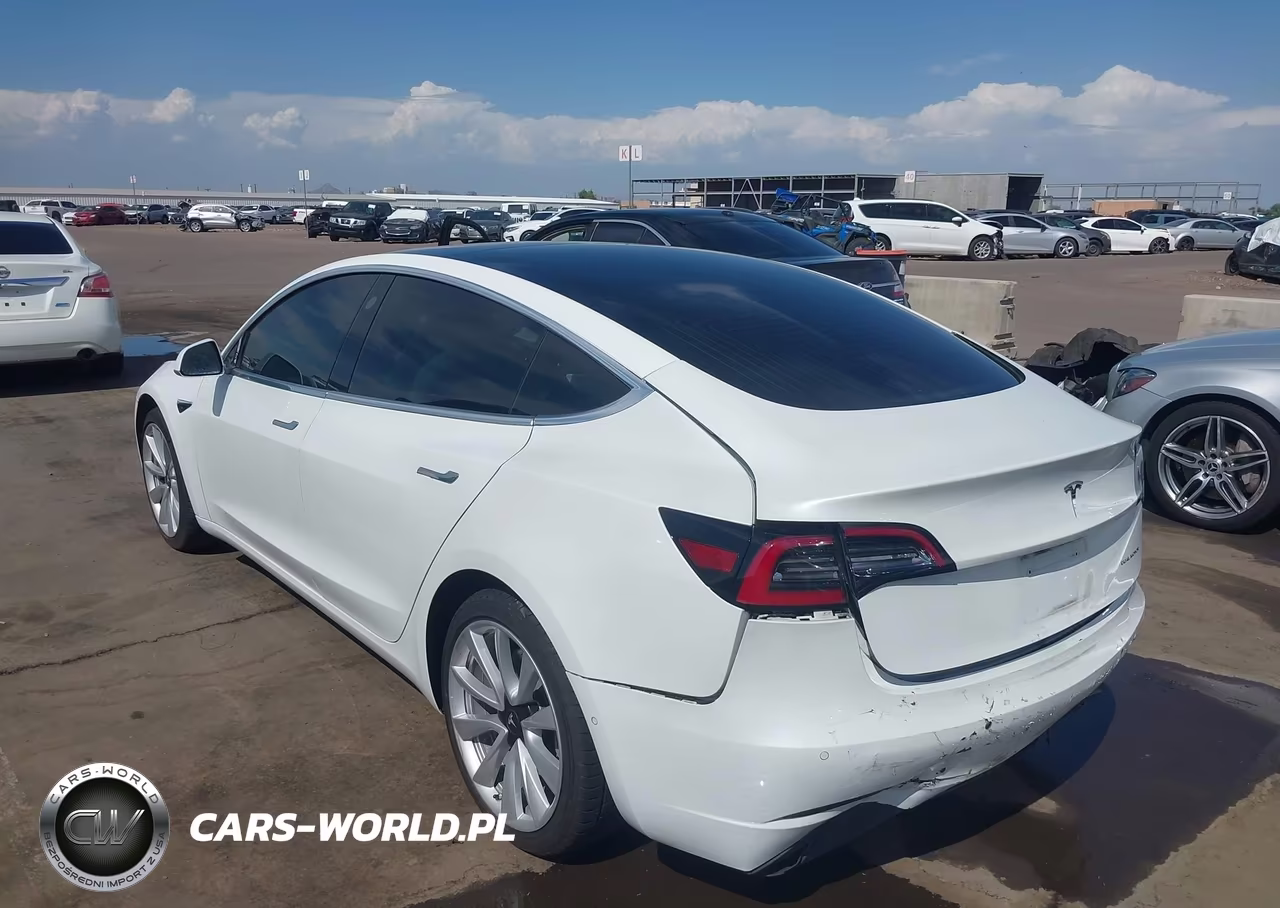 2019 Tesla Model 3 Long Range-Performance VIN:5YJ3E1EBXKF494757 - 3