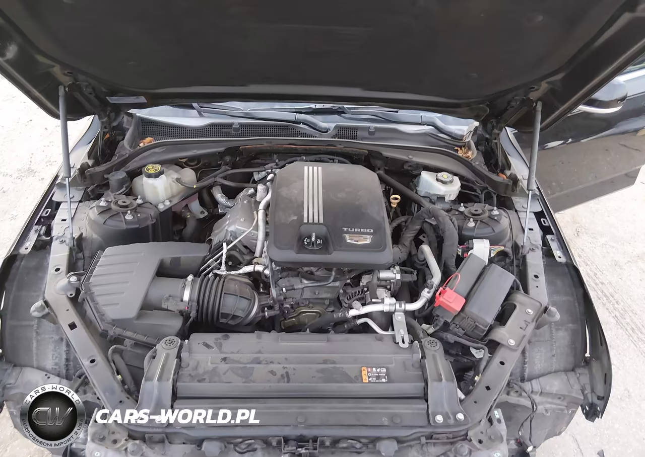 2021 Cadillac Ct4 Luxury VIN:1G6DJ5RK3M0116575 - 10