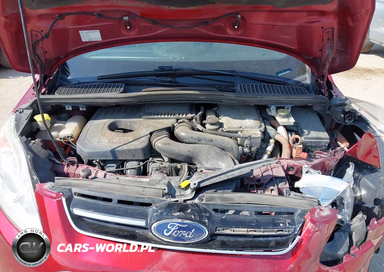 2016 Ford C-Max Energi Sel VIN:1FADP5CU4GL116762 - 10