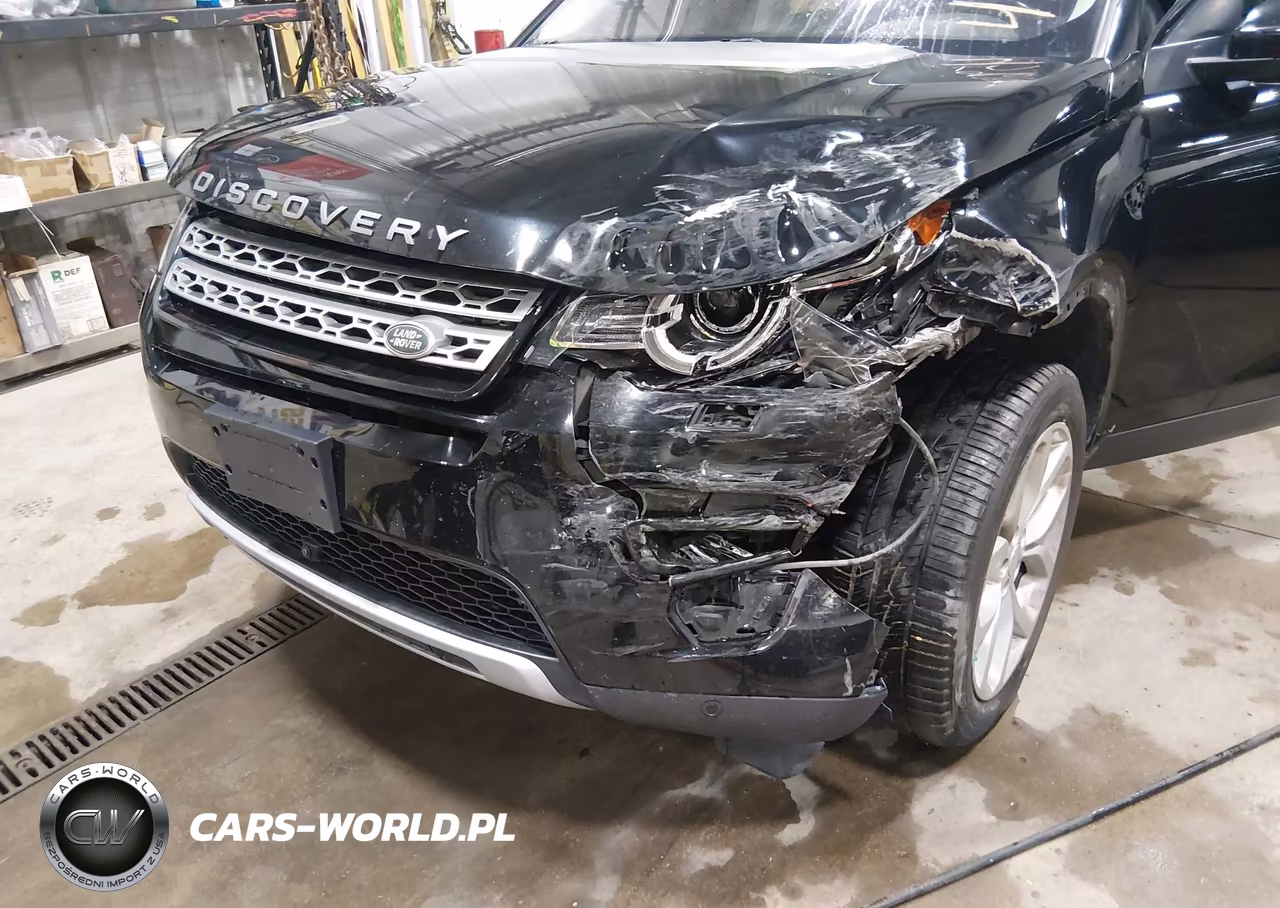 2019 Land Rover Discovery Sport Hse-Landmark Edition VIN:SALCR2FX1KH795169 - 6
