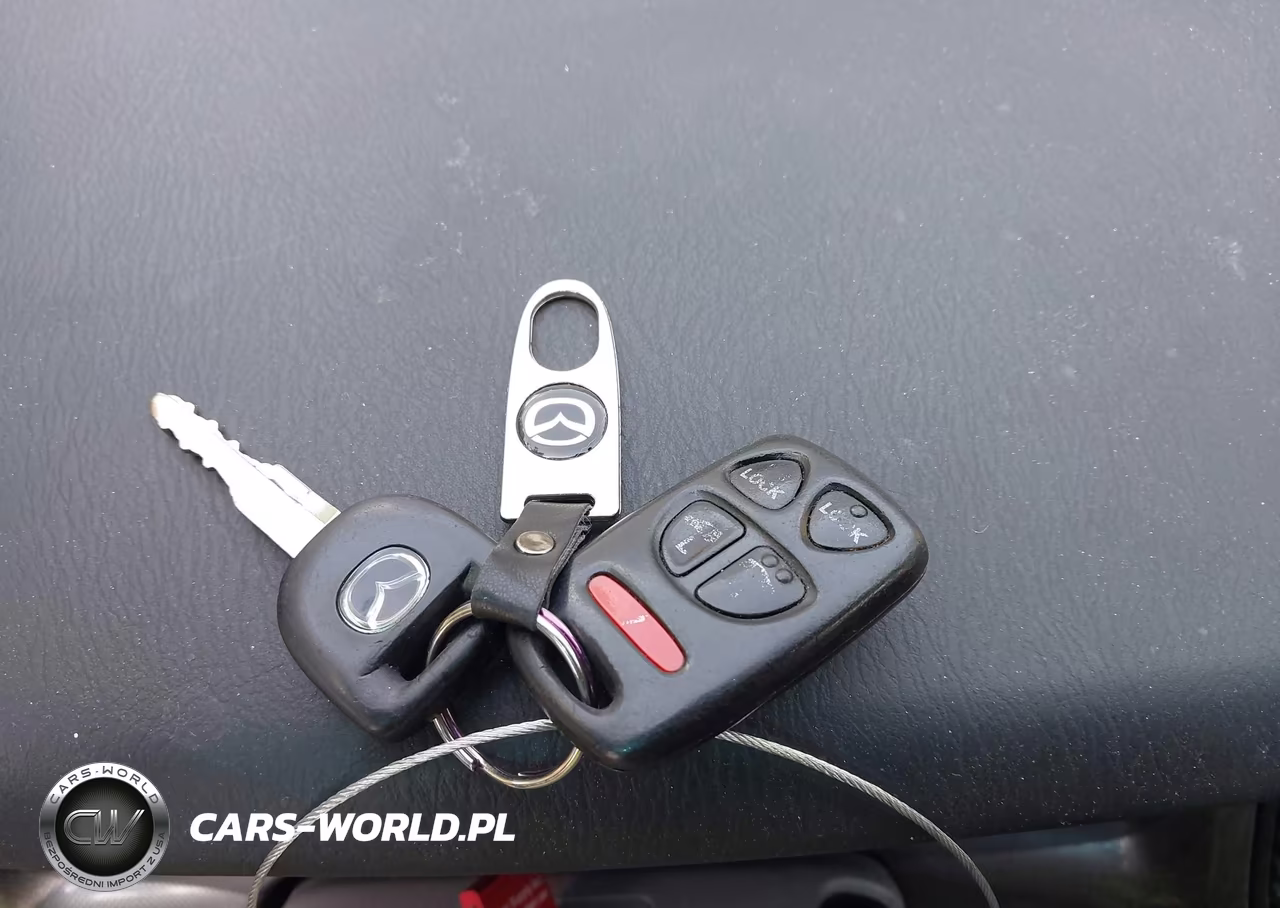 2004 Mazda Mpv Es VIN:JM3LW28J540518171 - 11