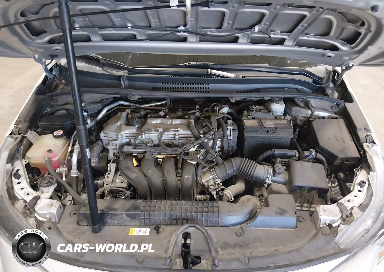 TOYOTA COROLLA LE VIN:5YFEPRAE9LP042810 - 10