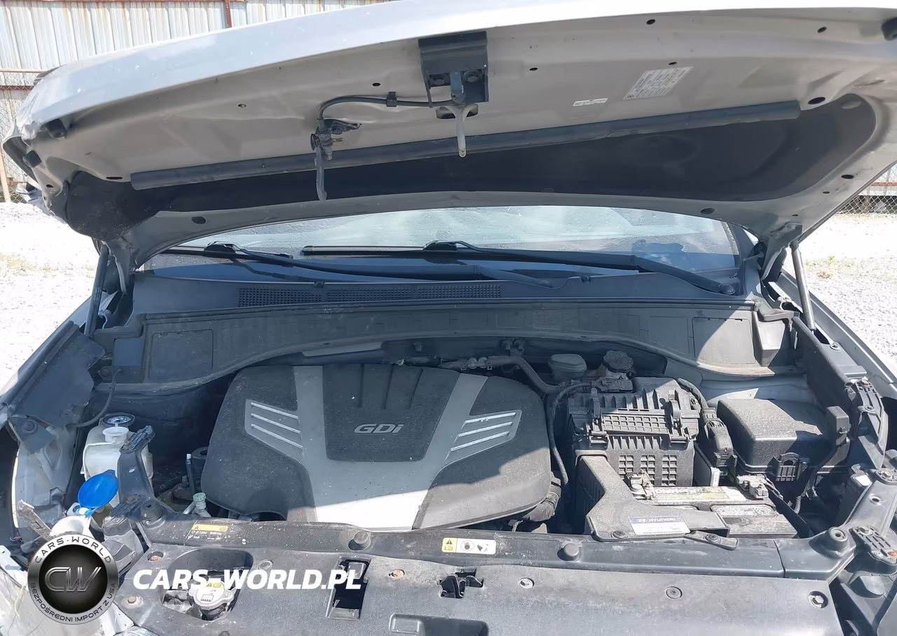 2014 Hyundai Santa Fe Gls VIN:KM8SR4HF0EU088154 - 10