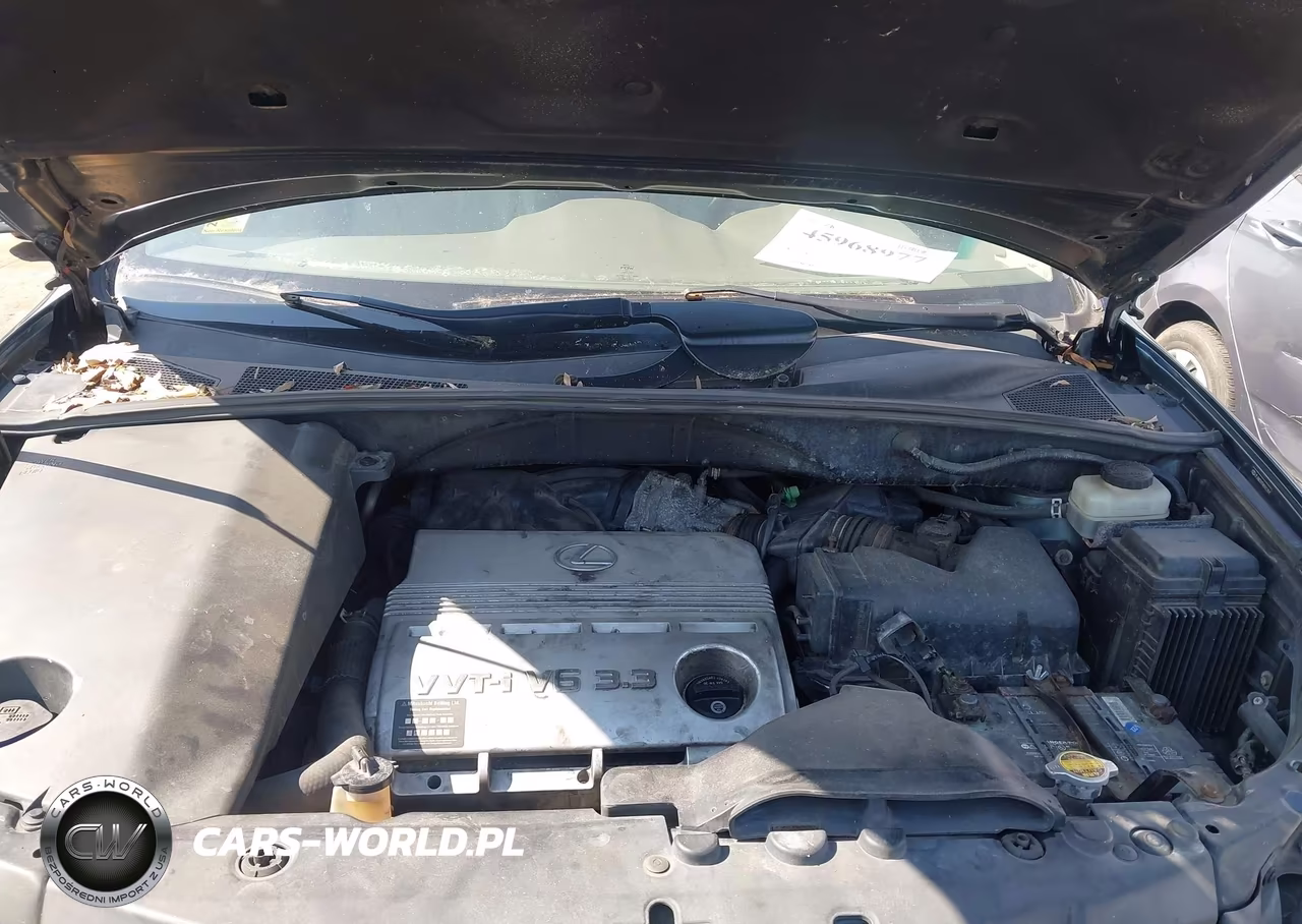 2004 Lexus Rx 330 VIN:JTJHA31U740062484 - 10