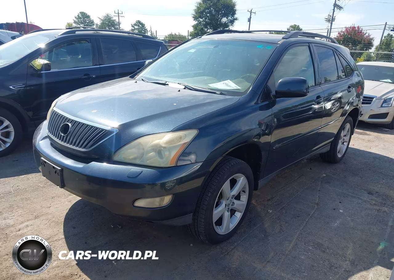 2004 Lexus Rx 330 VIN:JTJHA31U740062484 - 2