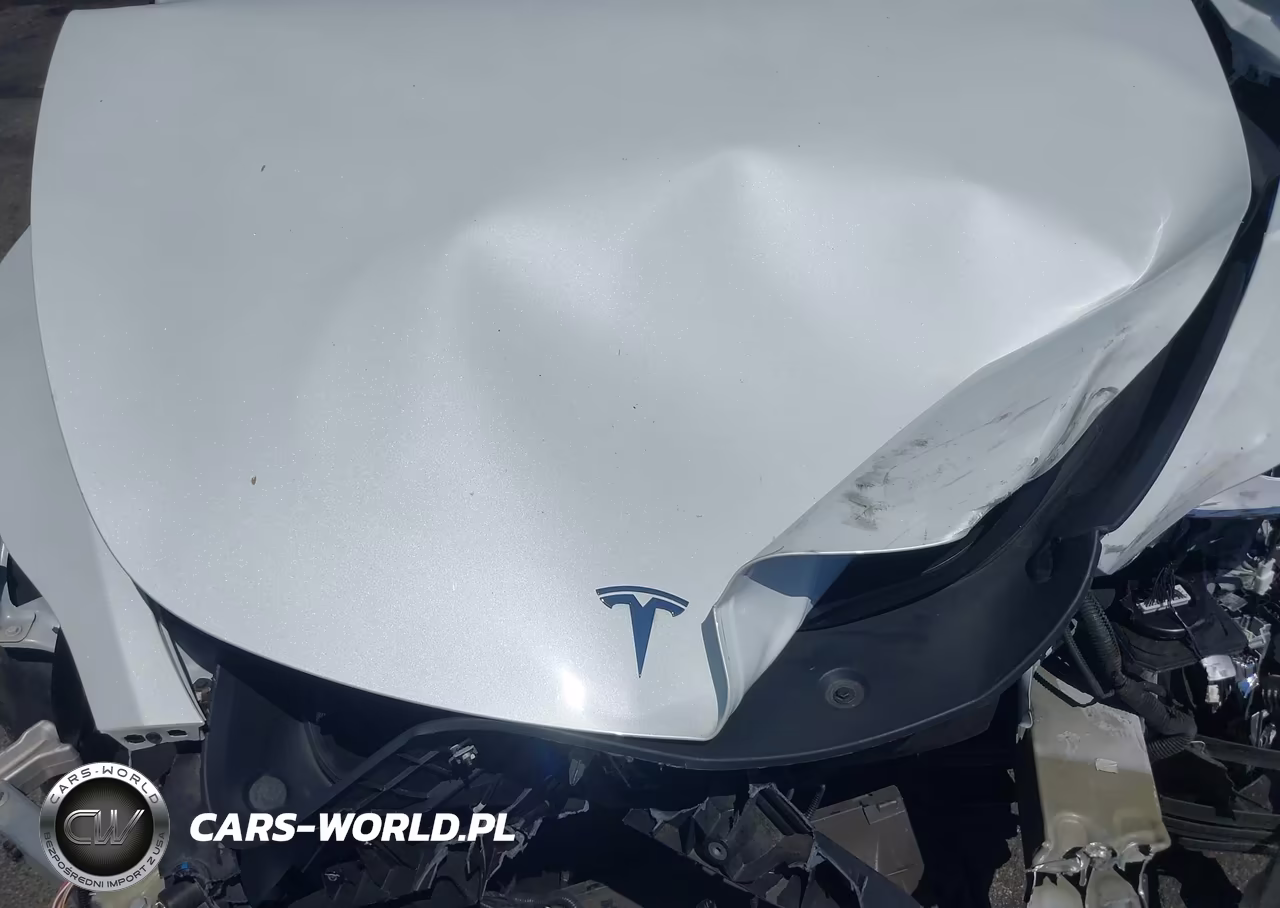 2021 Tesla Model Y Long Range Dual Motor All-Wheel Drive VIN:5YJYGDEE4MF122250 - 10