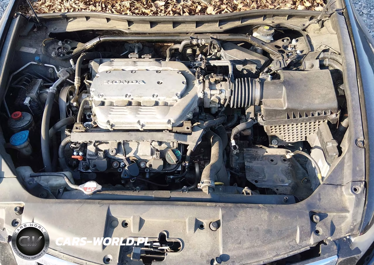 2010 Honda Accord 3.5 Ex-L VIN:1HGCP3F87AA008097 - 10