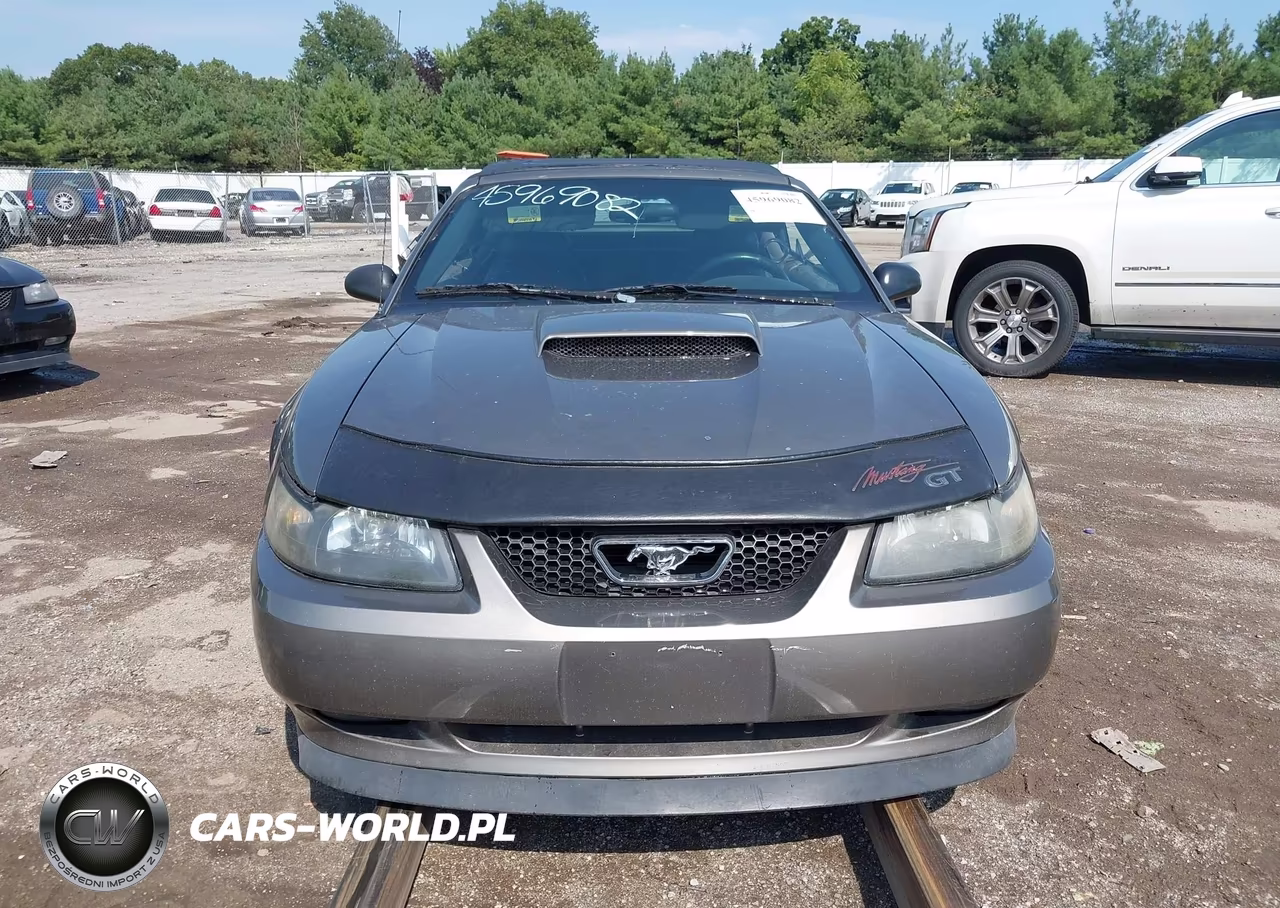 2002 Ford Mustang Gt VIN:1FAFP45X02F155852 - 12
