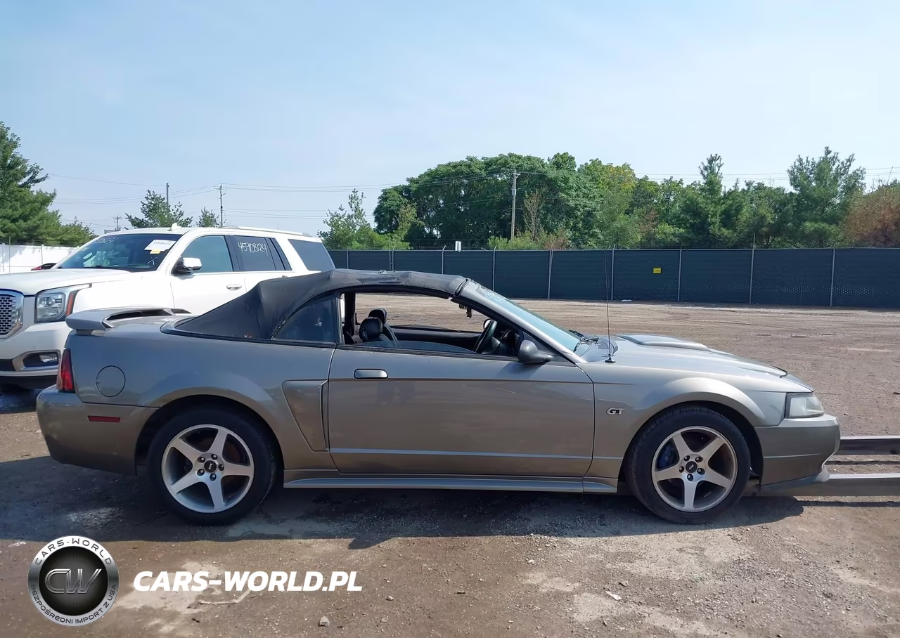 2002 Ford Mustang Gt VIN:1FAFP45X02F155852 - 13