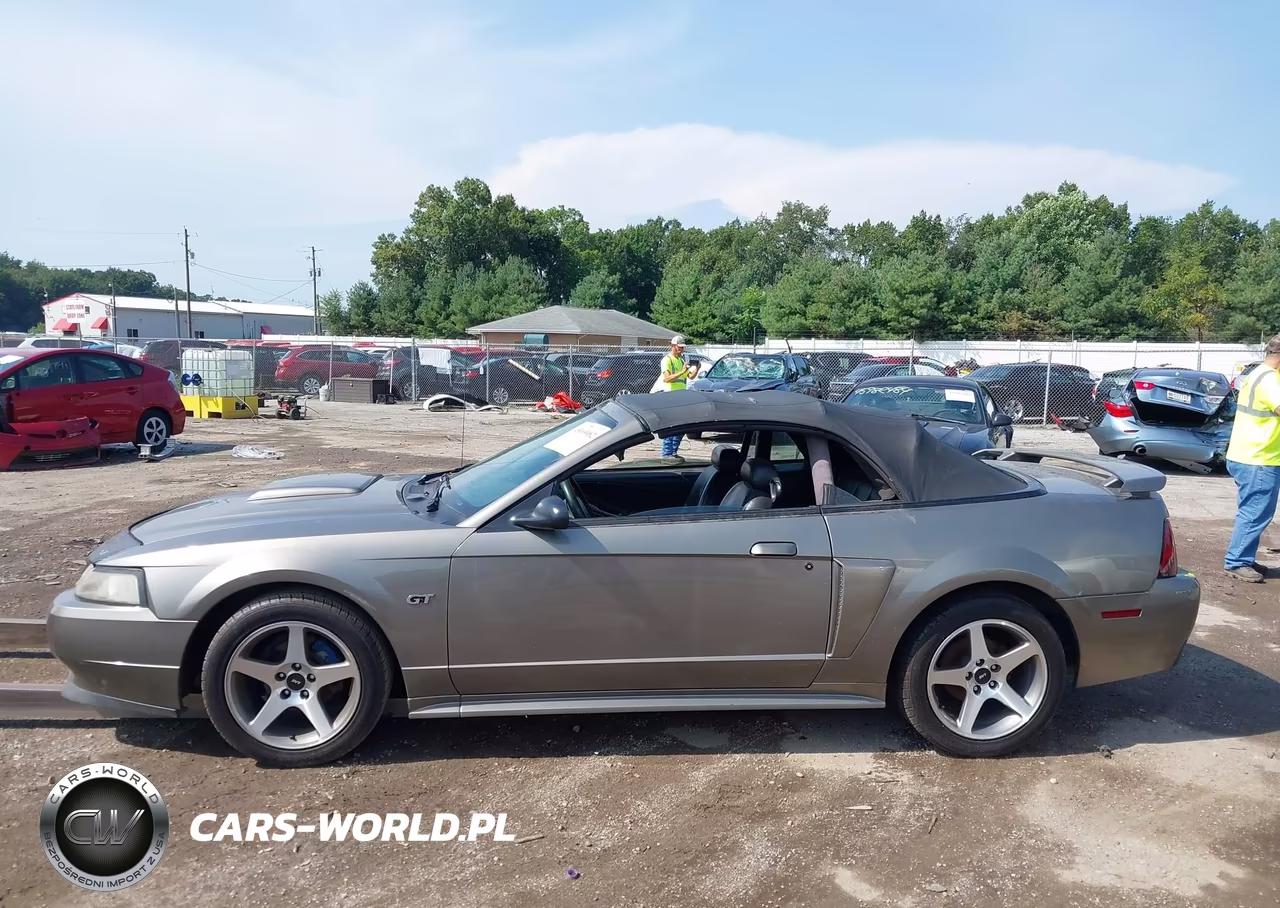 2002 Ford Mustang Gt VIN:1FAFP45X02F155852 - 14