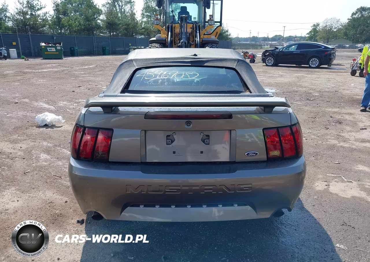 2002 Ford Mustang Gt VIN:1FAFP45X02F155852 - 16