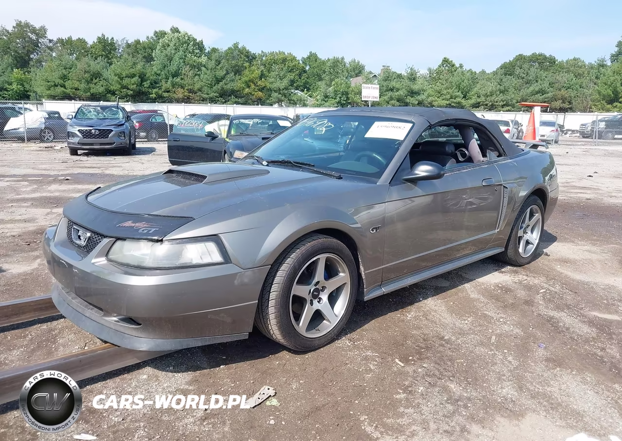 2002 Ford Mustang Gt VIN:1FAFP45X02F155852 - 2