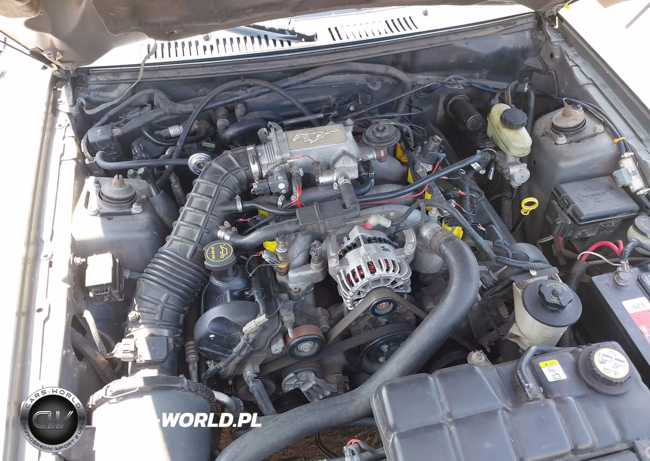 2002 Ford Mustang Gt VIN:1FAFP45X02F155852 - 6