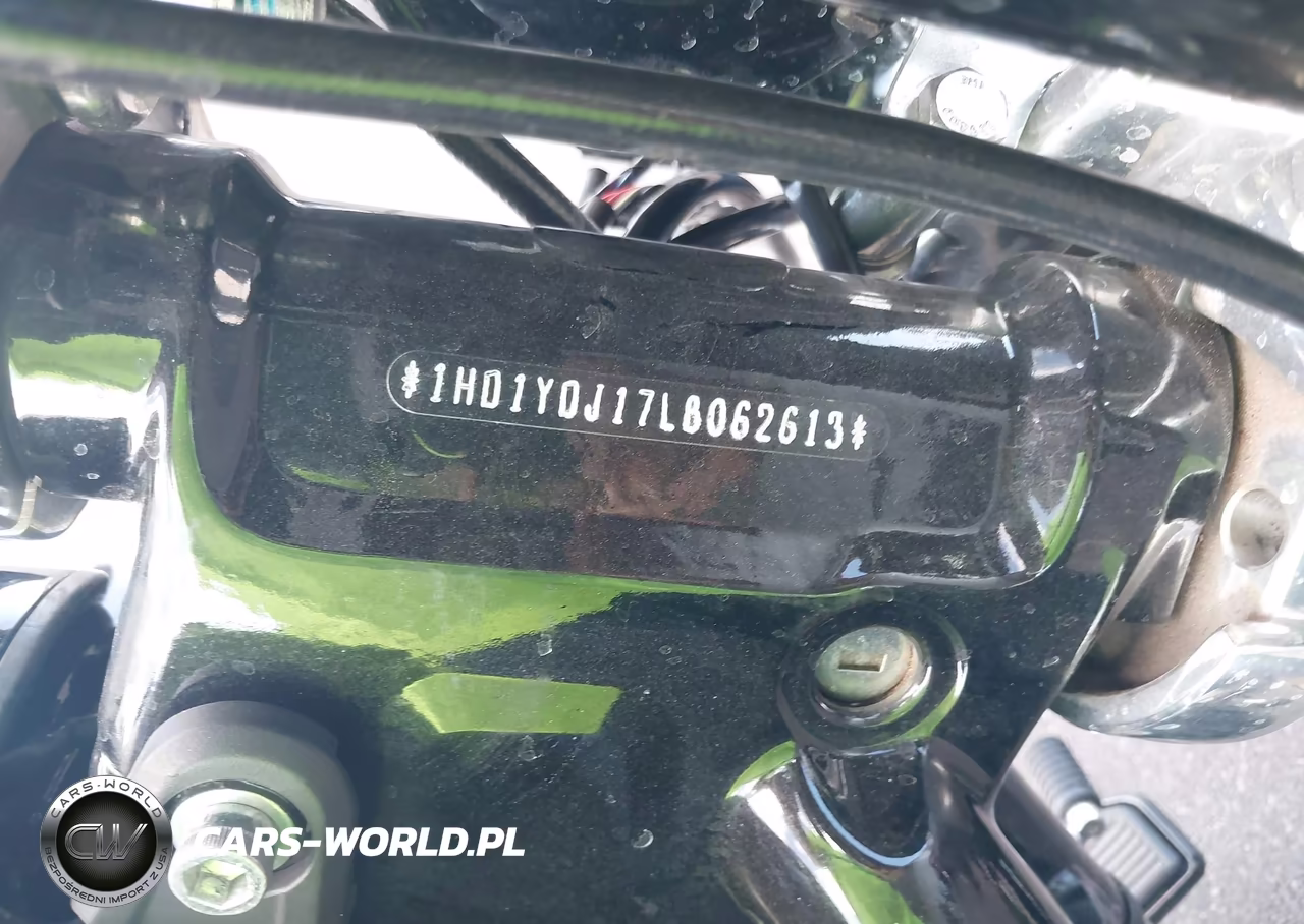 2020 Harley-Davidson Flsl VIN:1HD1YDJ17LB062613 - 10