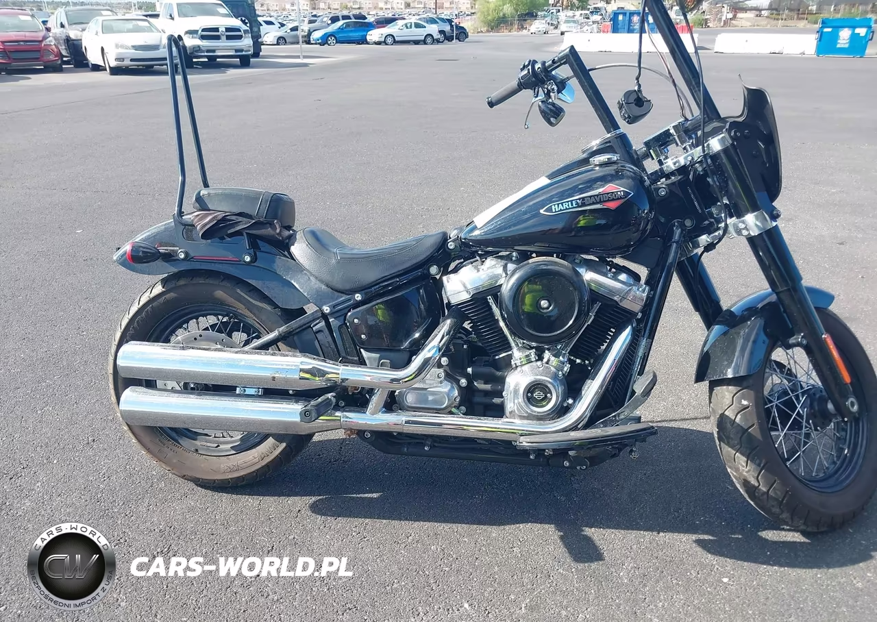 2020 Harley-Davidson Flsl VIN:1HD1YDJ17LB062613 - 15