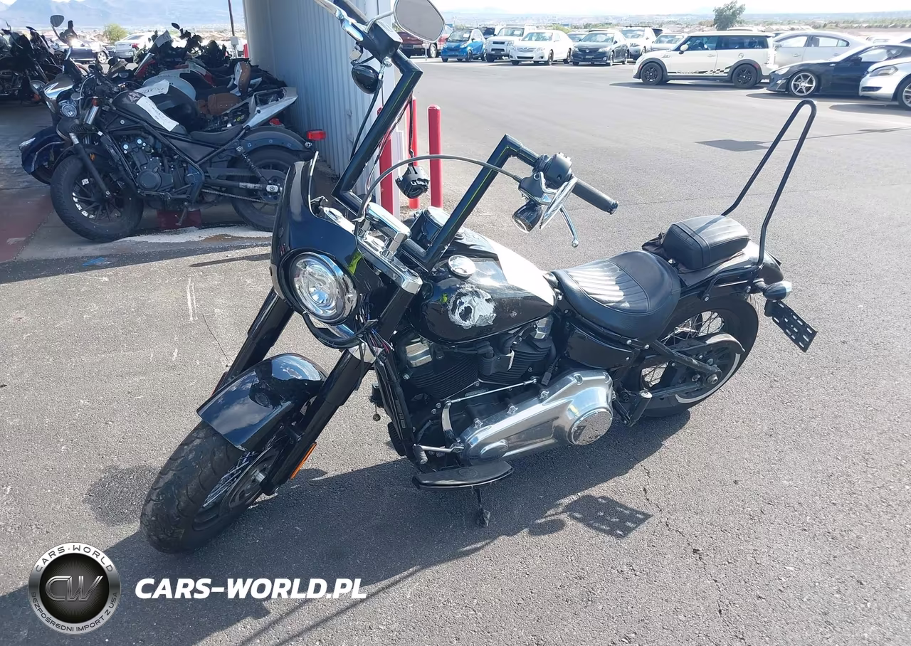 2020 Harley-Davidson Flsl VIN:1HD1YDJ17LB062613 - 2