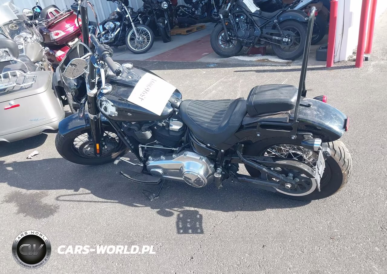 2020 Harley-Davidson Flsl VIN:1HD1YDJ17LB062613 - 3