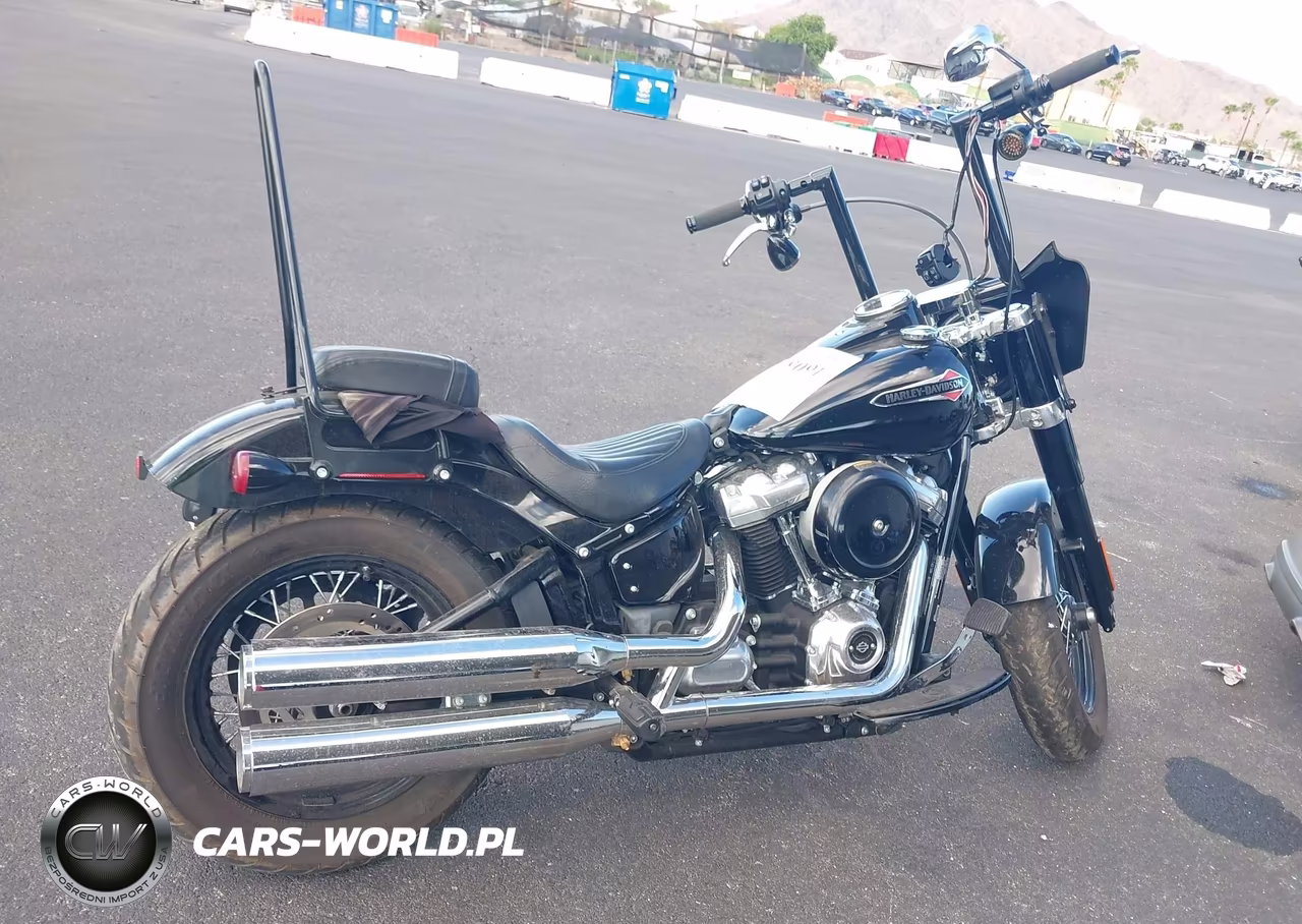2020 Harley-Davidson Flsl VIN:1HD1YDJ17LB062613 - 4