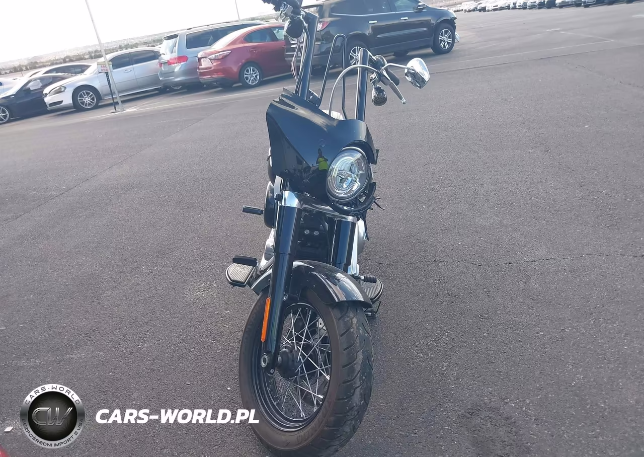 2020 Harley-Davidson Flsl VIN:1HD1YDJ17LB062613 - 5