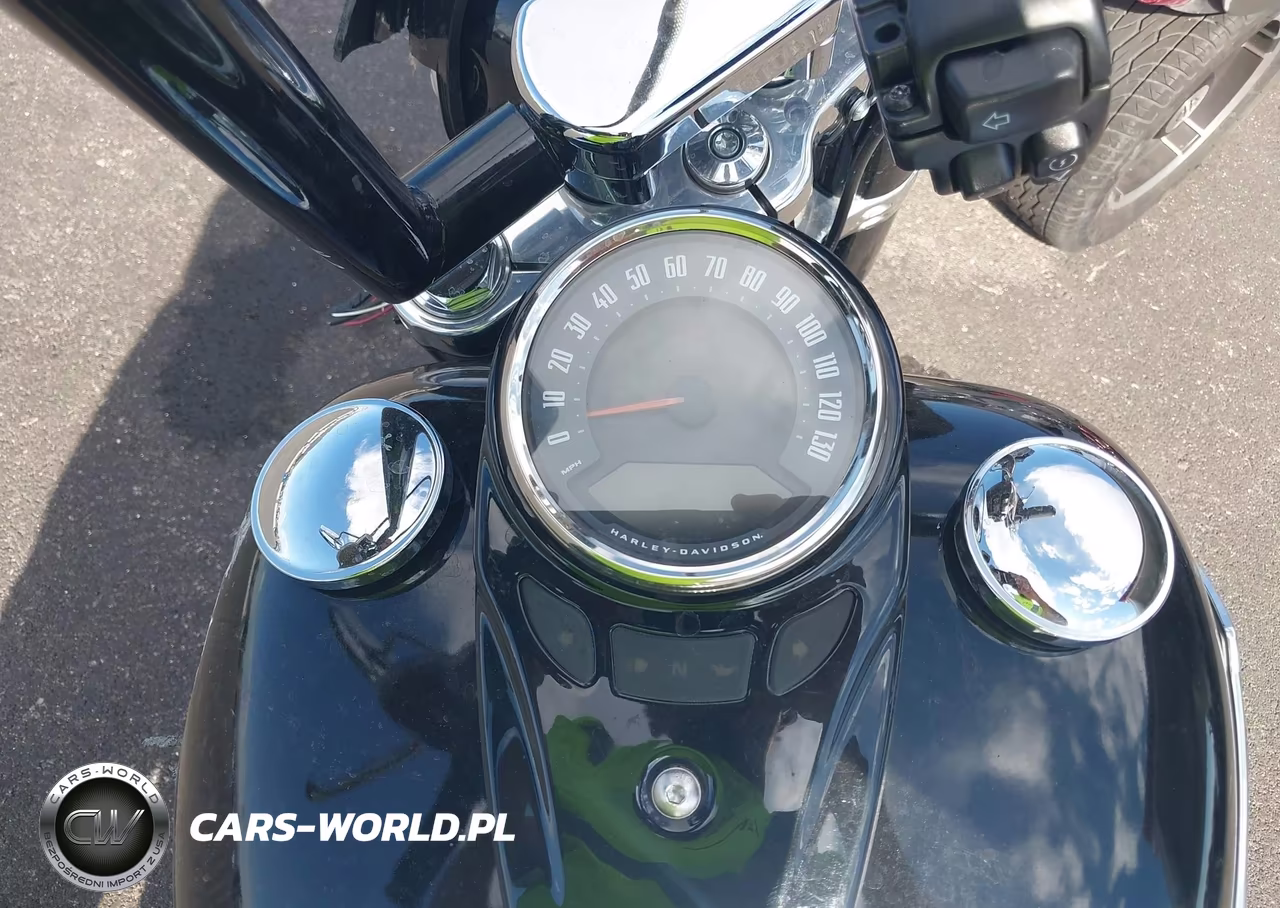 2020 Harley-Davidson Flsl VIN:1HD1YDJ17LB062613 - 7