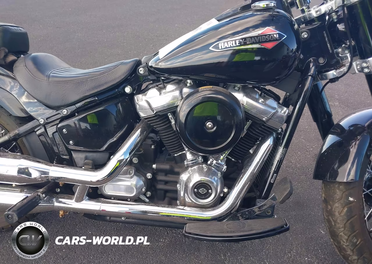 2020 Harley-Davidson Flsl VIN:1HD1YDJ17LB062613 - 8