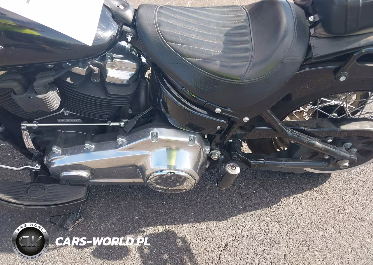 2020 Harley-Davidson Flsl VIN:1HD1YDJ17LB062613 - 9