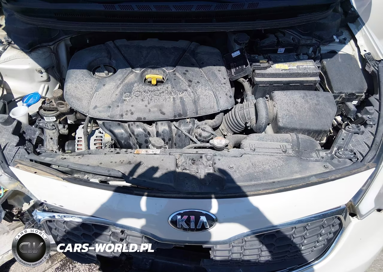 2014 Kia Forte Lx VIN:KNAFK4A69E5181654 - 10