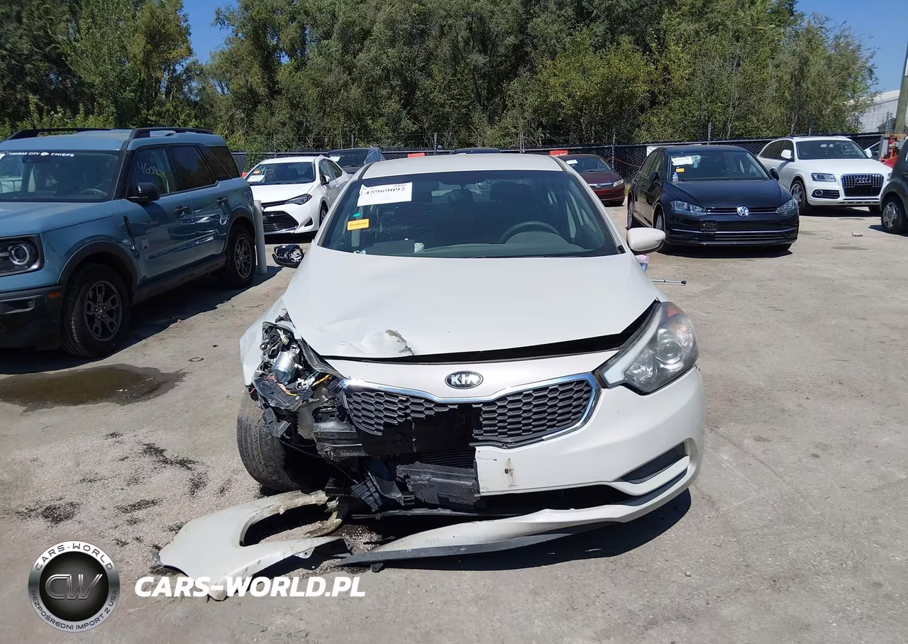 2014 Kia Forte Lx VIN:KNAFK4A69E5181654 - 12