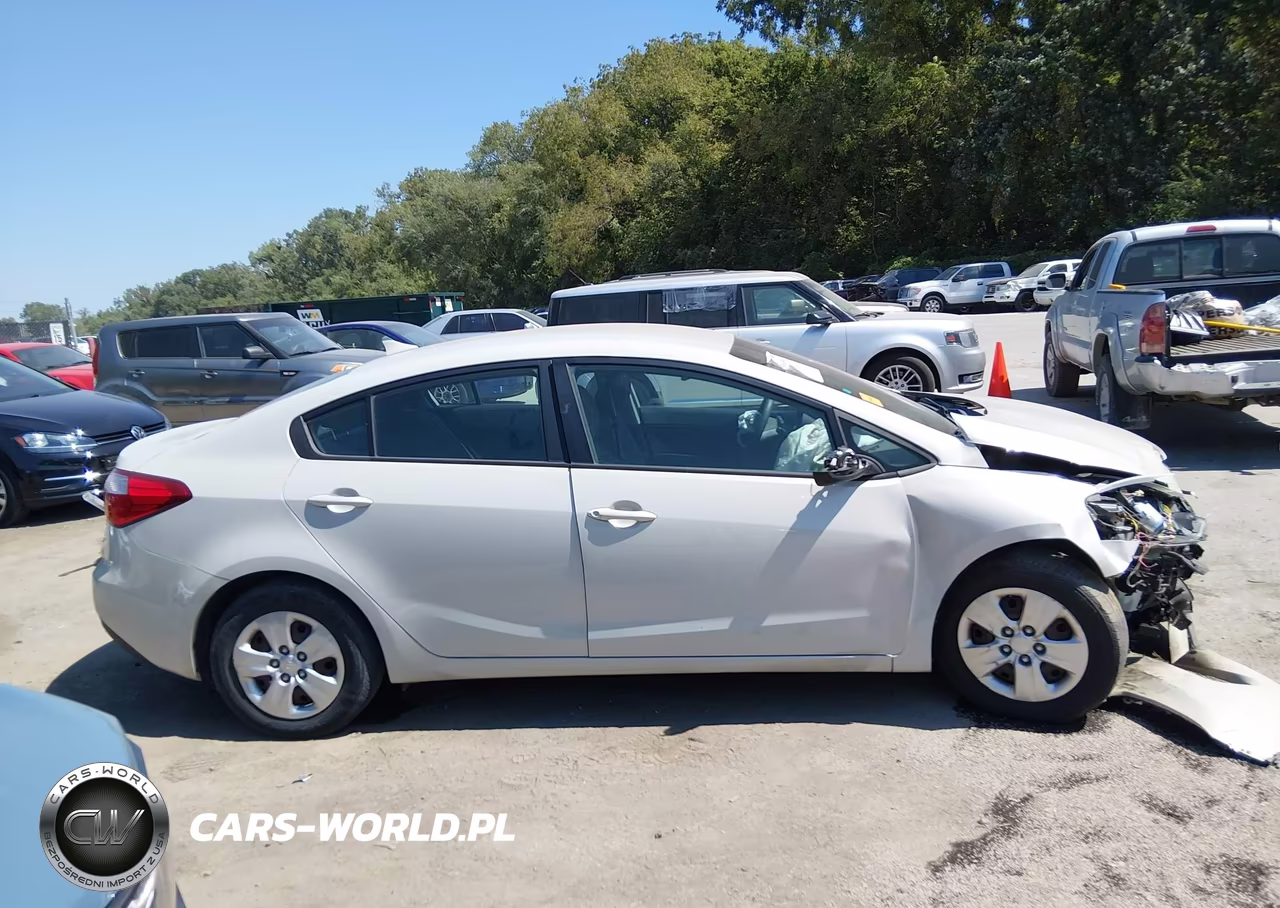 2014 Kia Forte Lx VIN:KNAFK4A69E5181654 - 13