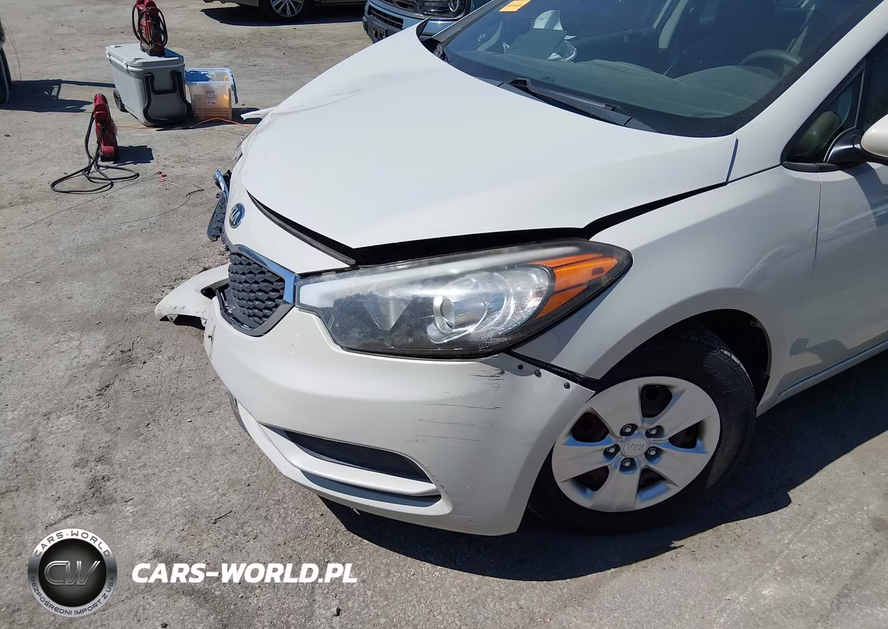 2014 Kia Forte Lx VIN:KNAFK4A69E5181654 - 17