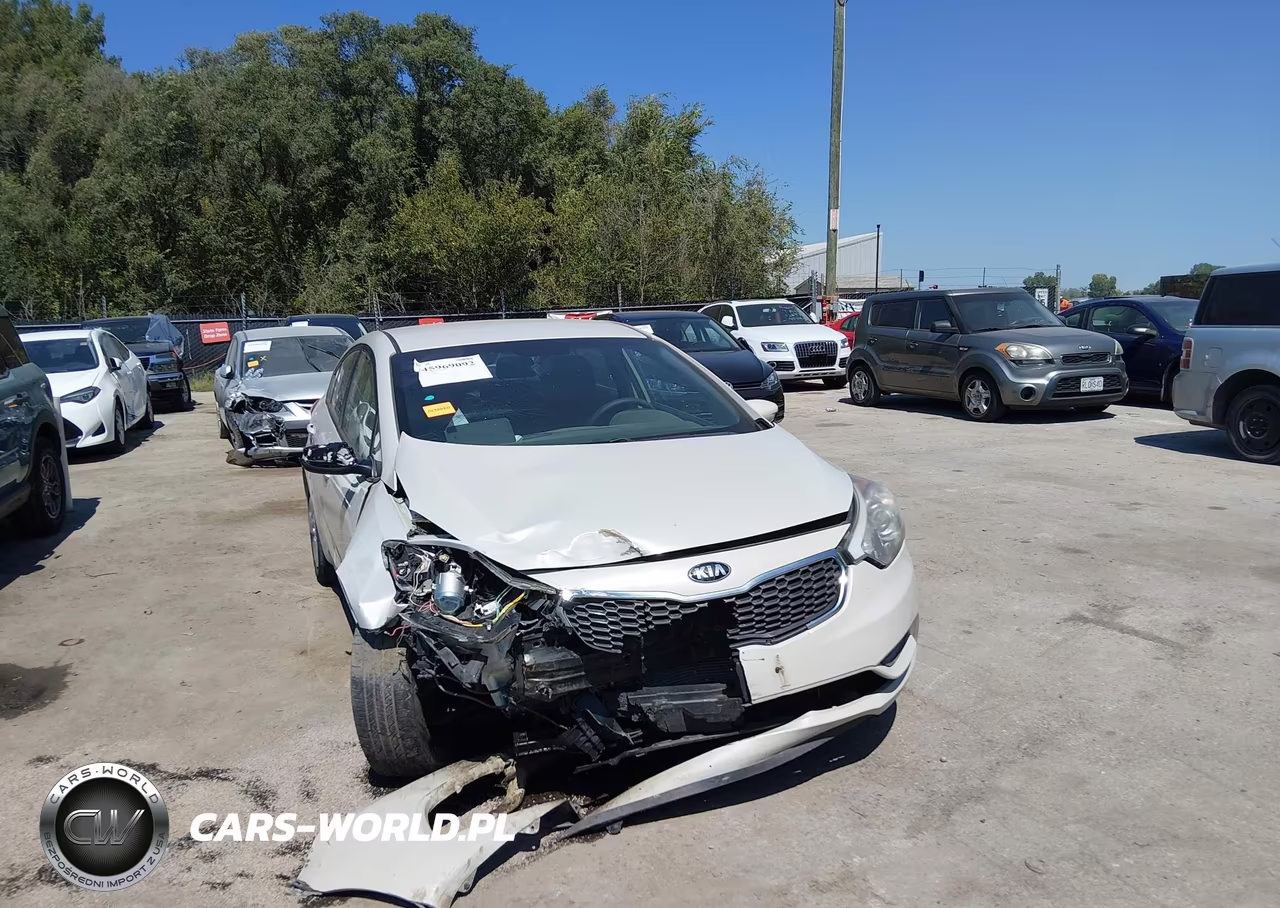 2014 Kia Forte Lx VIN:KNAFK4A69E5181654 - 6