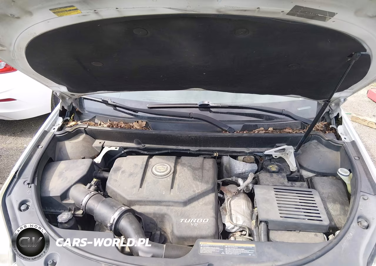 2010 Cadillac Srx Turbo Performance VIN:3GYFNJE42AS573595 - 10