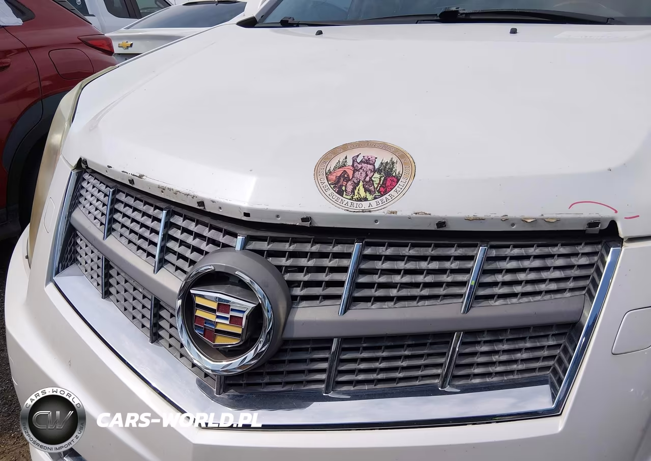 2010 Cadillac Srx Turbo Performance VIN:3GYFNJE42AS573595 - 12