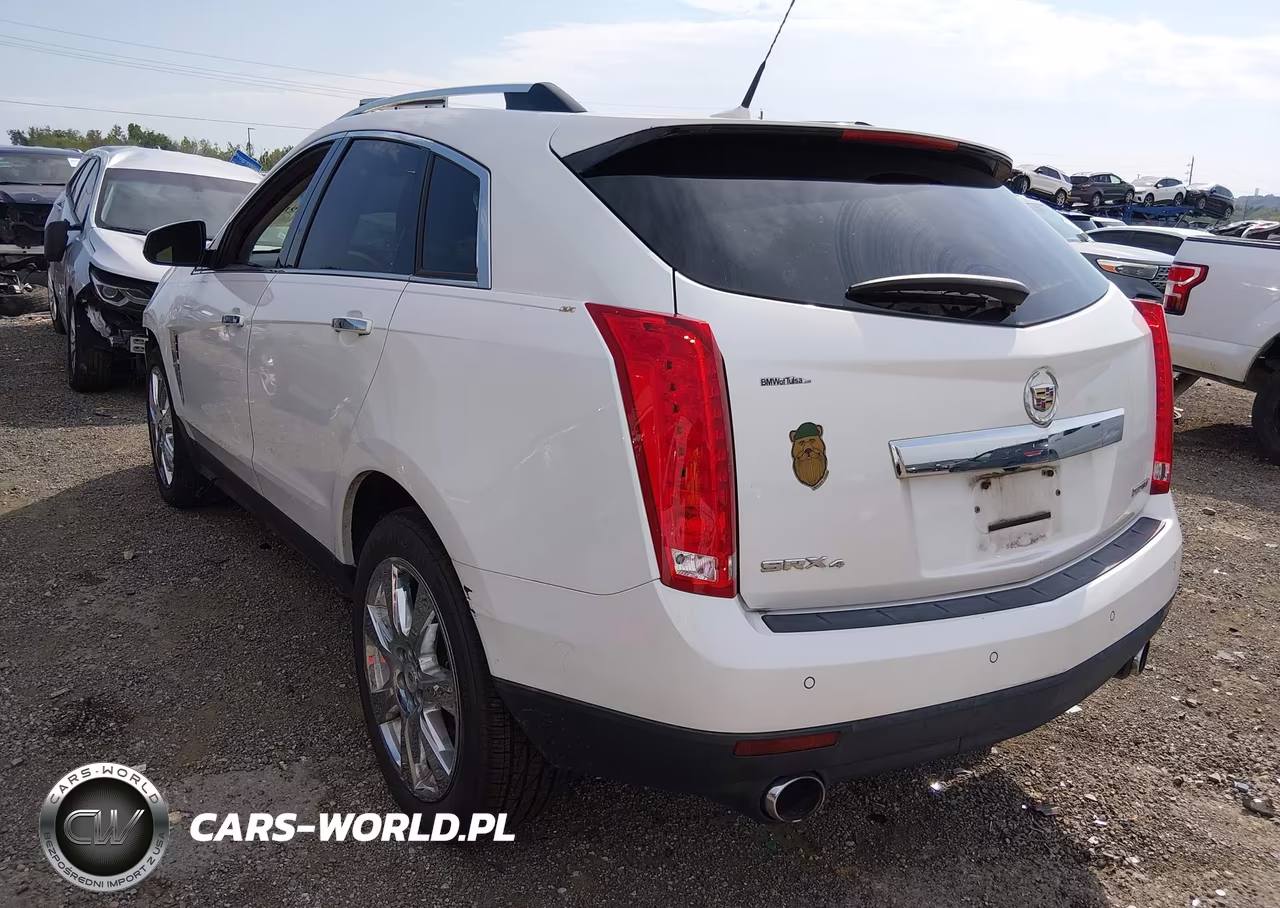 2010 Cadillac Srx Turbo Performance VIN:3GYFNJE42AS573595 - 3