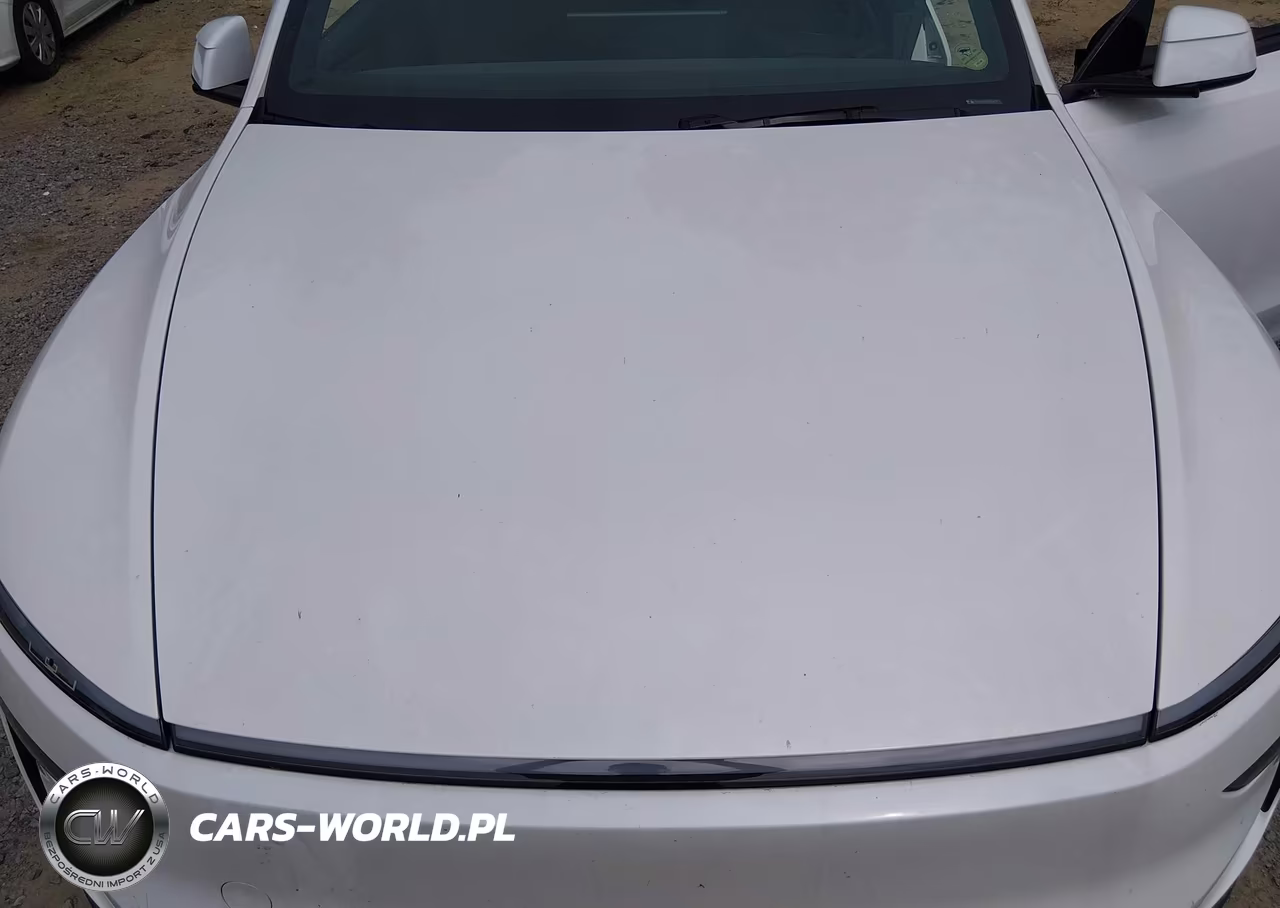 2026 Tesla Model Y Premium Rear-Wheel Drive-Rear-Wheel Drive VIN:7SAYGDED9TA654311 - 10