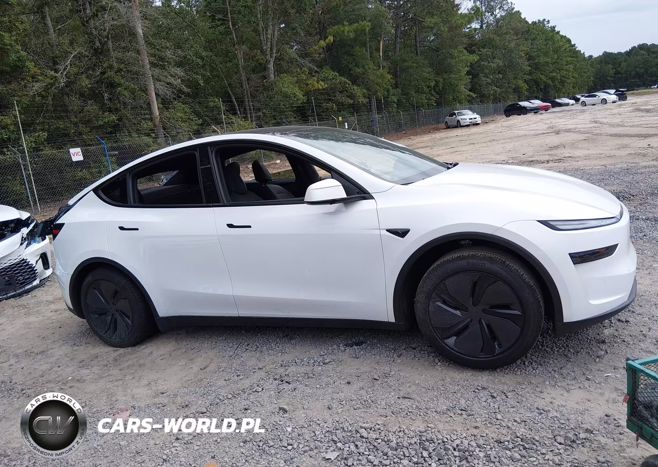 2026 Tesla Model Y Premium Rear-Wheel Drive-Rear-Wheel Drive VIN:7SAYGDED9TA654311 - 13
