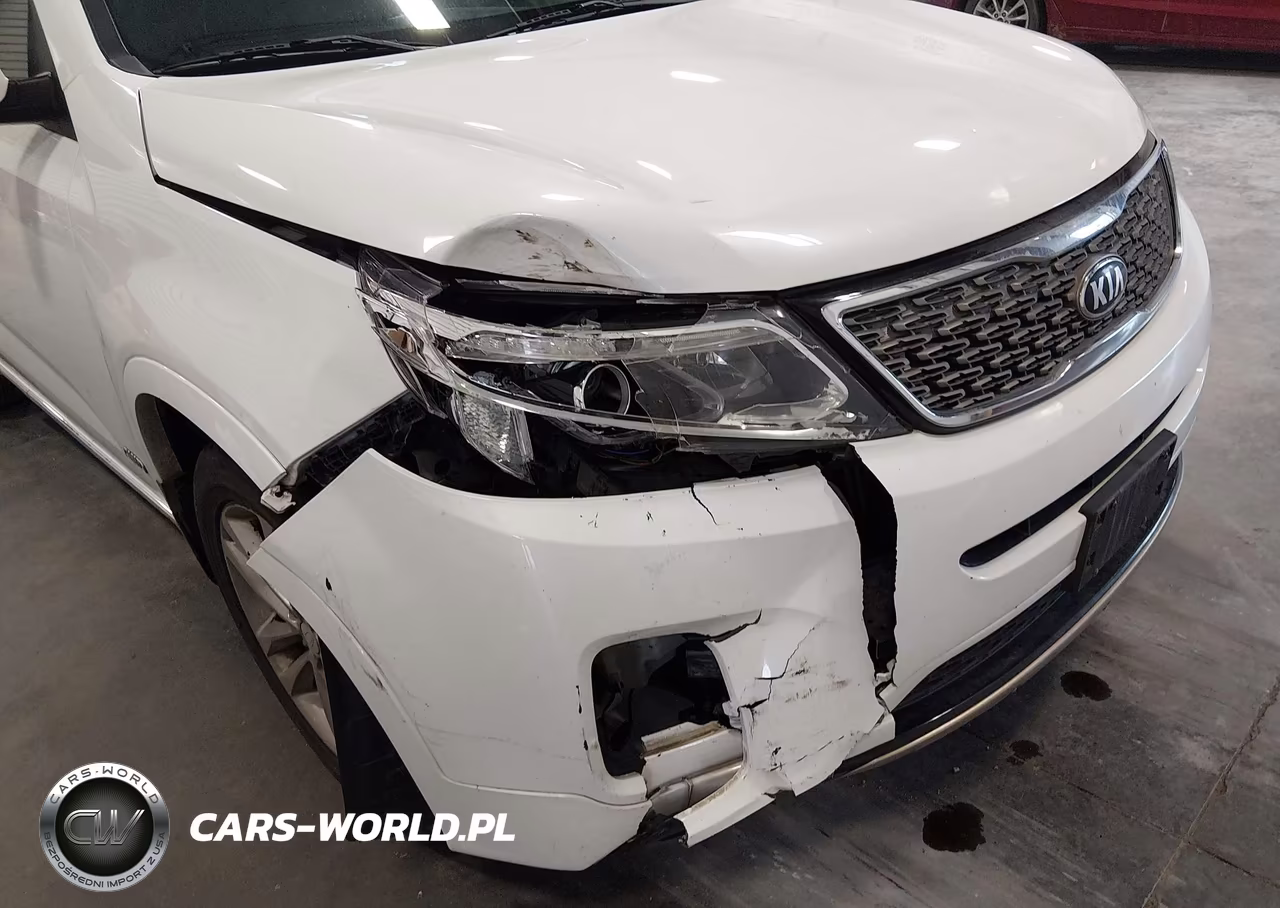 2014 Kia Sorento Limited V6 VIN:5XYKWDA77EG530638 - 6