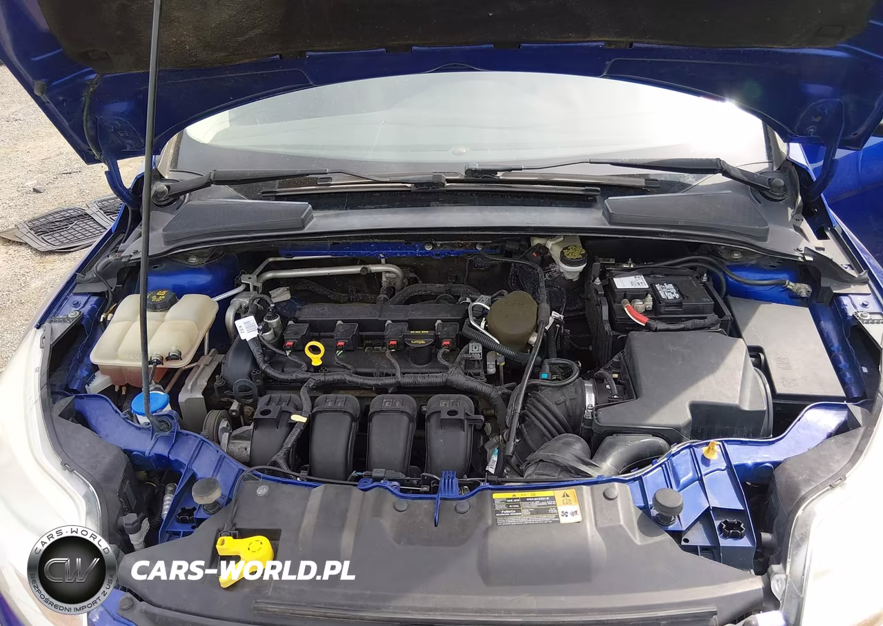 2014 Ford Focus Se VIN:1FADP3K20EL200062 - 10