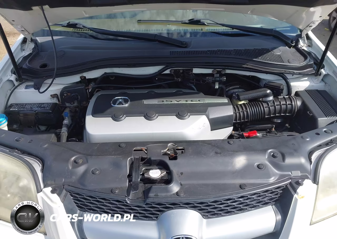 2006 Acura Mdx VIN:2HNYD18296H530386 - 10