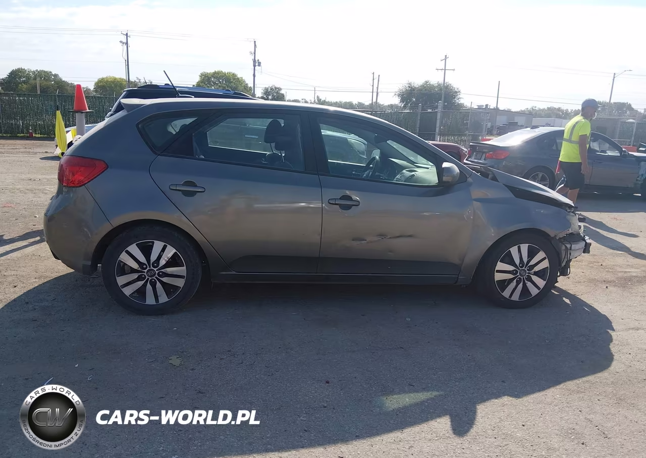 2013 Kia Forte Ex VIN:KNAFU5A20D5669824 - 13
