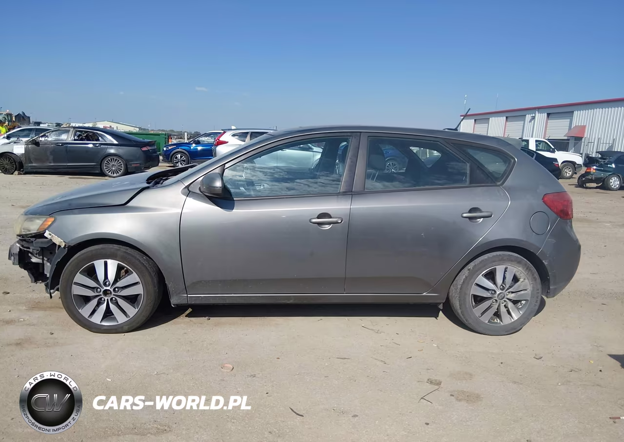 2013 Kia Forte Ex VIN:KNAFU5A20D5669824 - 14