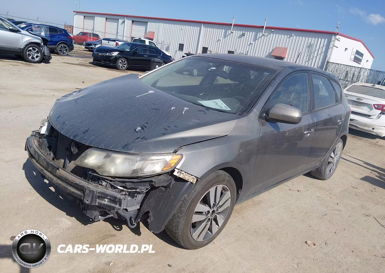 2013 Kia Forte Ex VIN:KNAFU5A20D5669824 - 2