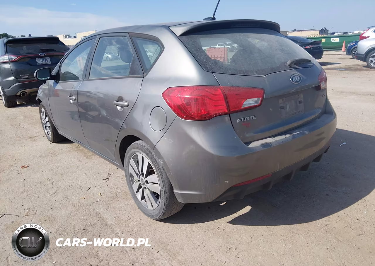2013 Kia Forte Ex VIN:KNAFU5A20D5669824 - 3