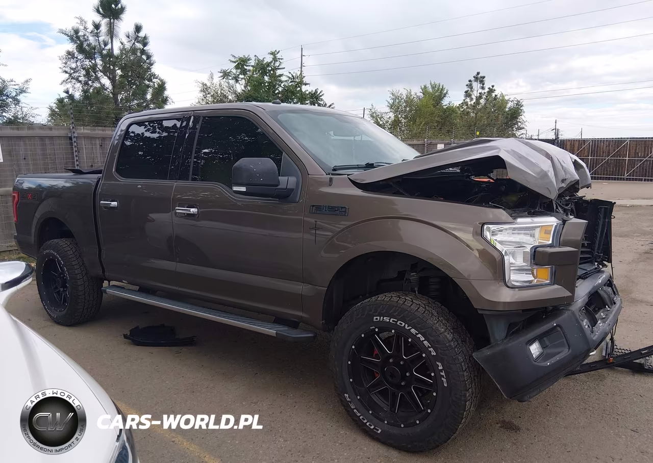 2017 Ford F-150 King Ranch-Lariat-Limited-Platinum-Xl-Xlt VIN:1FTEW1EG1HKE16753 - 13