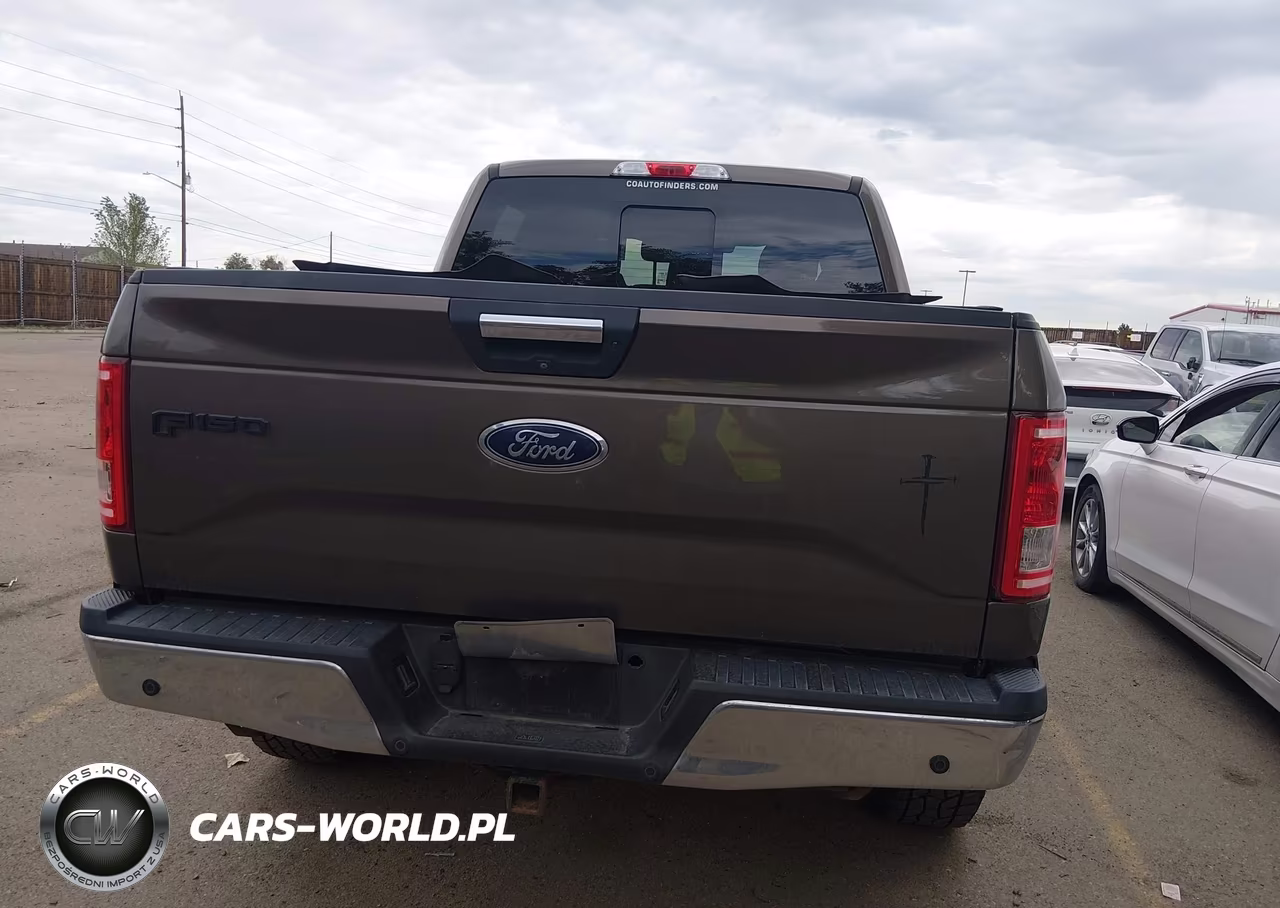 2017 Ford F-150 King Ranch-Lariat-Limited-Platinum-Xl-Xlt VIN:1FTEW1EG1HKE16753 - 16